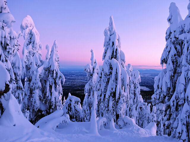 Our Top 3 Canadian Winter Experiences