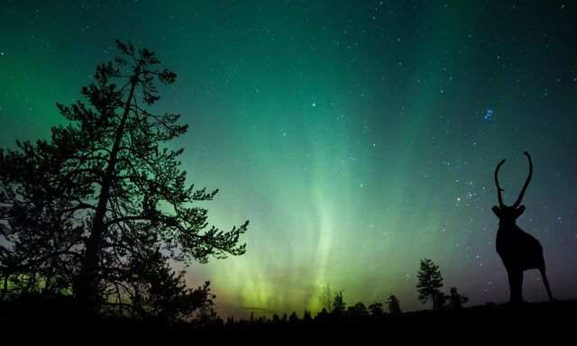 The Best Places in Canada to See the Northern Lights